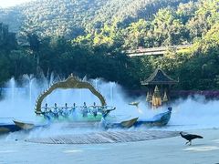-西双版纳原始森林公园