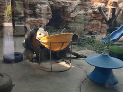 -石家庄市动物园