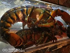 -鱼乐轩海鲜专门店