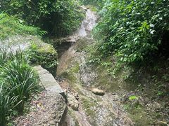 -仙螺岛海鲜自助餐厅(总店)
