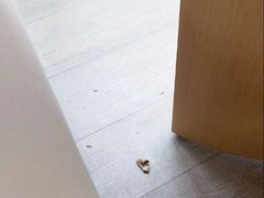 -大堂酒廊·亚龙湾万豪度假酒店