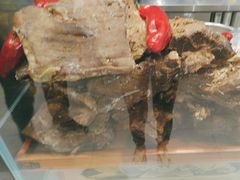 -清真·金城老碗牛肉面揪面片(兰州总店)