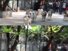 -TrueLove @ Neverland (Husky Cafe)