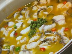 青花椒味砂锅鱼-青花椒花椒鱼黑金店(LCM店)