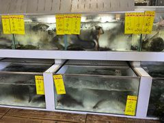 -水上人家河鲜