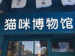 -猫咪博物馆(顶澳仔猫街店)