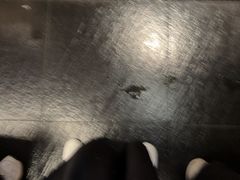 -牛New寿喜烧(金鹰世界店)