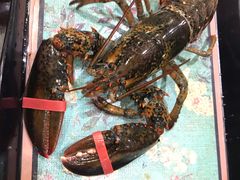 -庆合府重庆大排档(紫都城店)