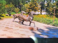 -元大都城垣遗址公园