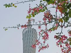 -海心沙亚运公园