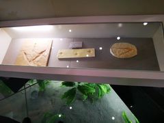 -延庆地质公园博物馆