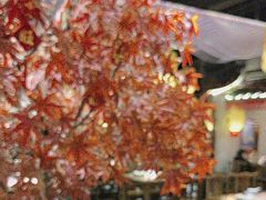 -杨记隆府重庆江湖菜(大悦城店)