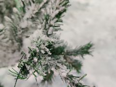 -世界之窗阿尔卑斯冰雪世界