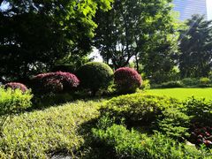 -静安公园(静安寺街道)