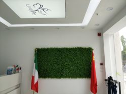 -莱可美科技美肤