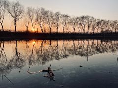 -大兴滨河森林公园