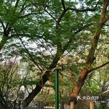 南京漫步｜民国风建筑里的细碎温柔光阴