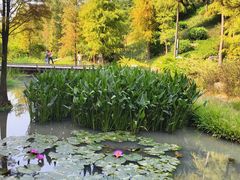 -云溪植物园