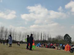 -两河城市森林公园