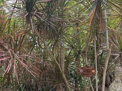 -南通洲际绿博园