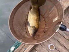 -酷鱼垂钓CLUB(朝阳区博大路店 )