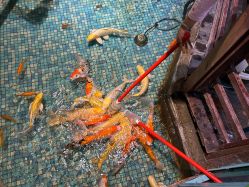 -酷嗒动物文化乐园(cutezoo西溪乐天城店)