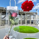 上海免费展|小王子和他的玫瑰花🥀浪漫天台