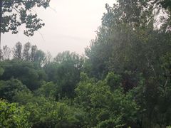 -东升八家郊野公园