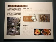 -柳州白莲洞洞穴科学博物馆