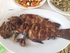 iphone_upload_pic-虹鳟鱼一条街