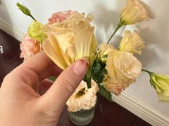 -美联众合动物医院·24h转诊中心