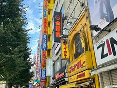 -秋叶原电器街