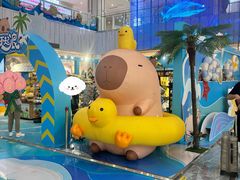 -凯德MALL(西直门店)