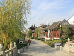 -九龙湖公园