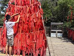 -帽儿山国家森林公园