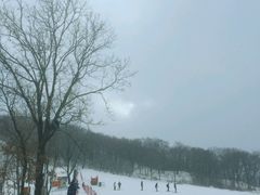 -庙香山滑雪场