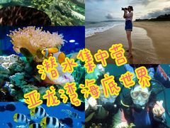 -亚龙湾海底世界