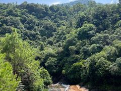 -广州白江湖森林公园