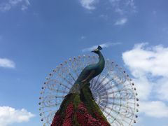 -七彩云南欢乐世界