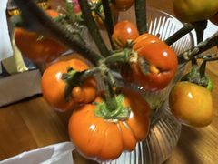 -龙大花卉苗木市场