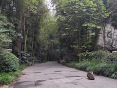 -成都杜甫草堂博物馆