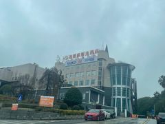 -圣爵菲斯大酒店(长沙世界之窗店)