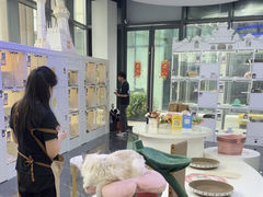 -小猫来了·猫舍(红山六九七九店)