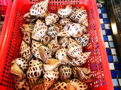 大花螺-顺德了能馆(虎门店)