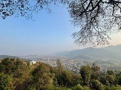 -世界和平塔