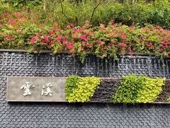 -云溪植物园