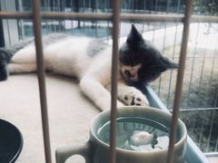 -猫的天空之城概念书店(北戴河蔚蓝海岸店)