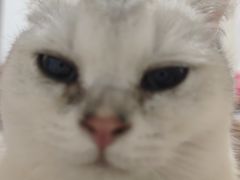 -美迦爱-牙专科·兔科·骨科诊疗中心(北苑店)