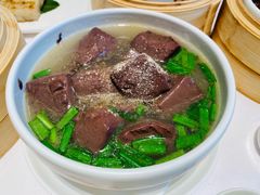 -千灯盛汇·头牌粤菜(致越优城店)
