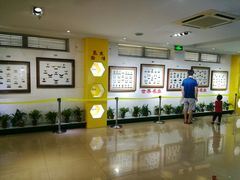 -上海昆虫博物馆